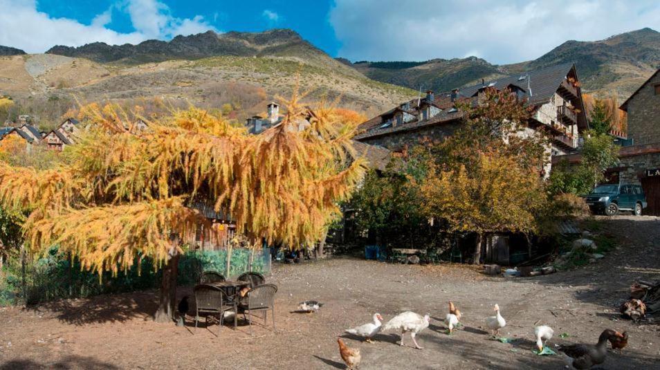 Casa Independiente Rural Ca De Corral Taull Room photo